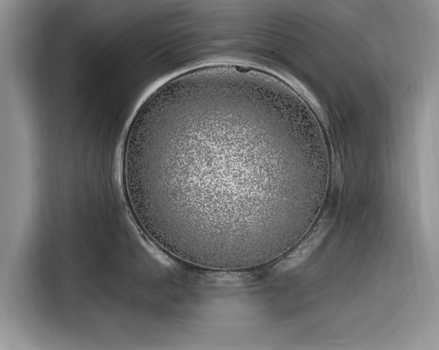 X0000116350862200912091128