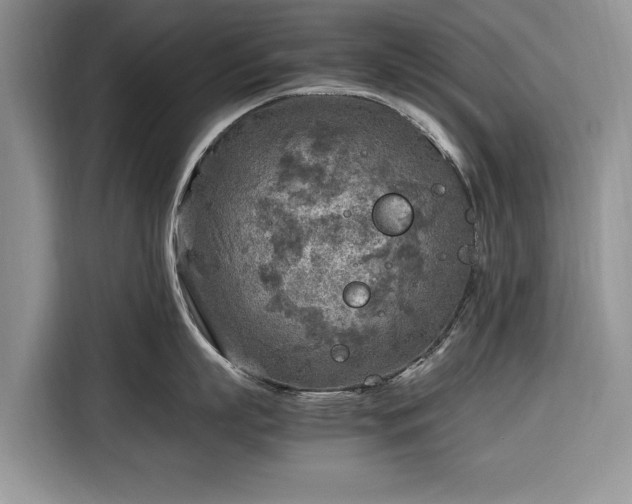 X0000116350863200912091128