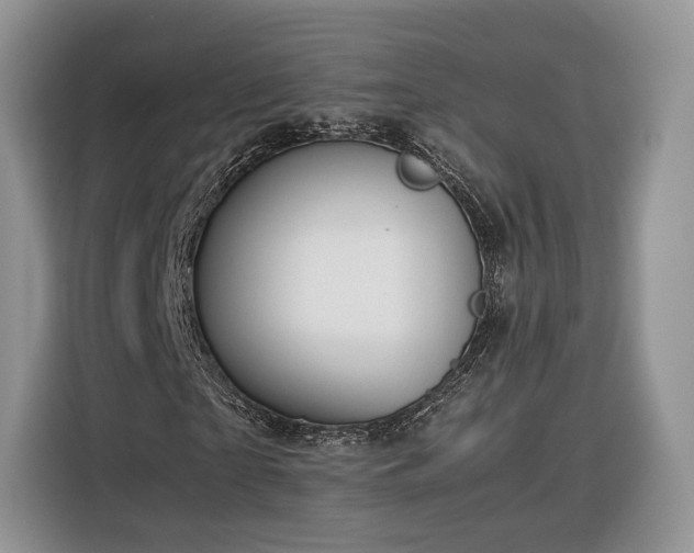 X0000116350865200912091128