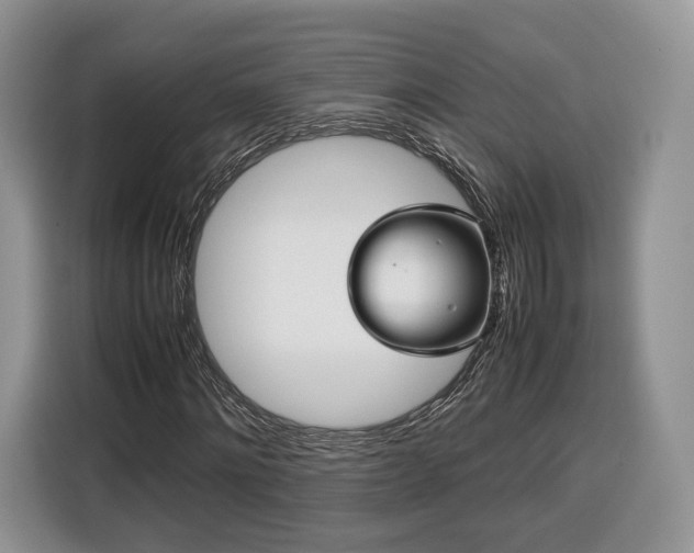 X0000116350868200912091128