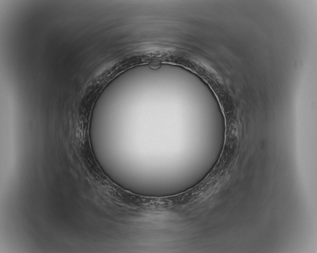 X0000116350869200912091128