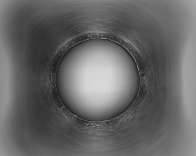 X0000116350870200912091128