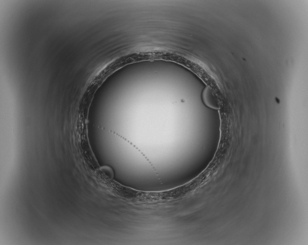 X0000116350871200912091128