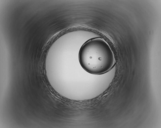 X0000116350872200912091128