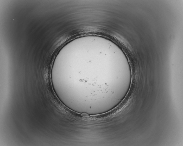 X0000116350873200912091128