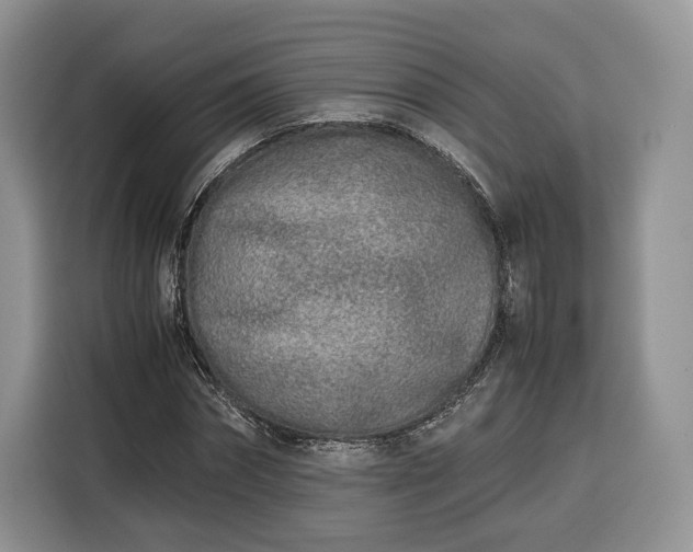 X0000116350874200912091128