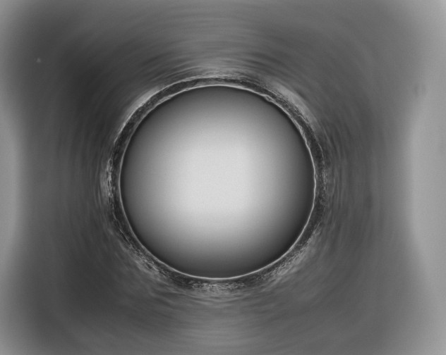 X0000116350875200912091128