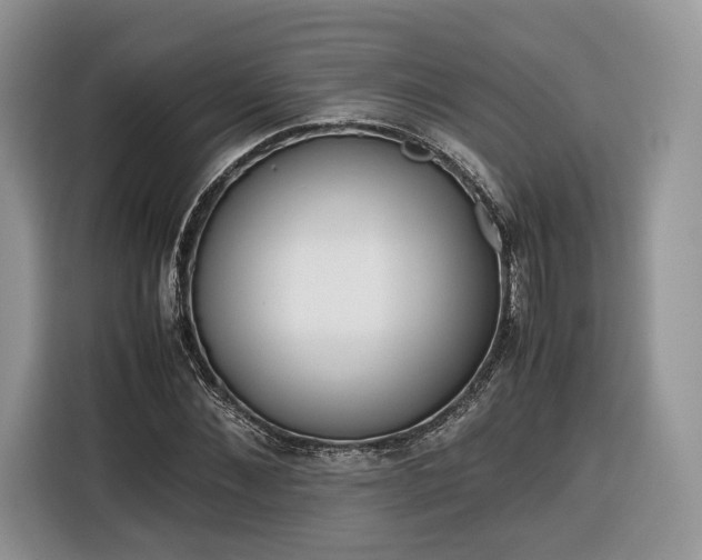 X0000116350876200912091127