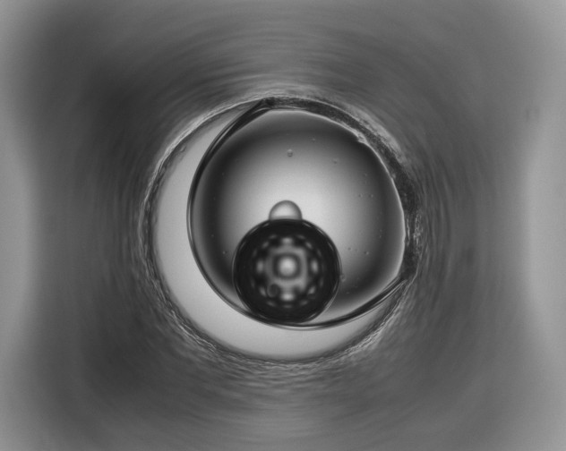 X0000116350877200912091127