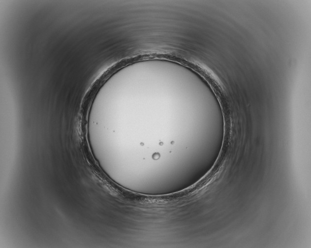 X0000116350878200912091127