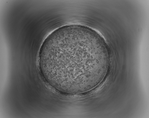 X0000116350879200912091127