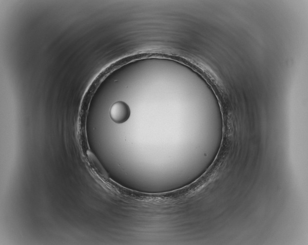 X0000116350880200912091127