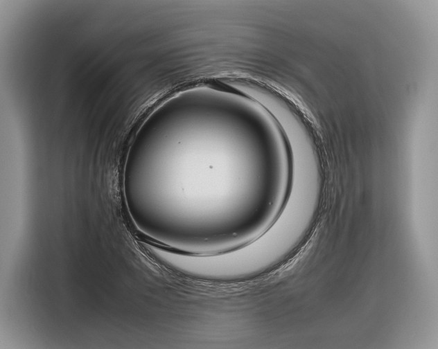 X0000116350881200912091127