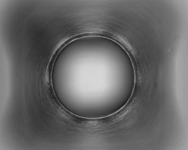 X0000116350883200912091127