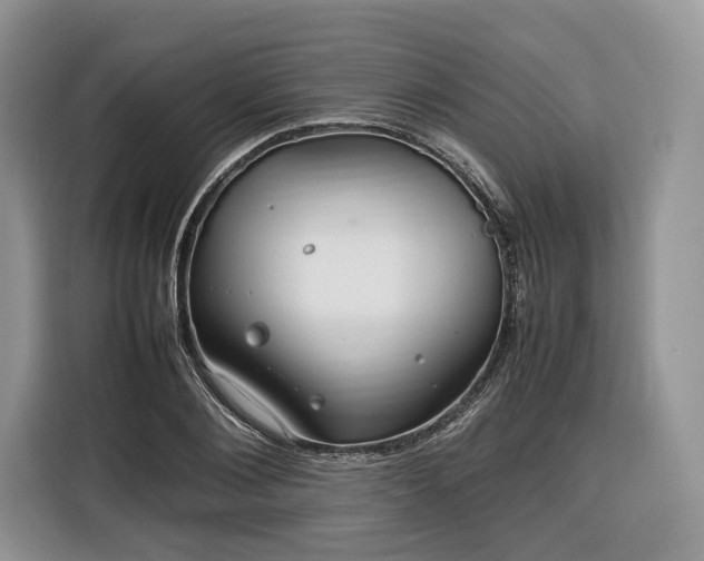 X0000116350884200912091127