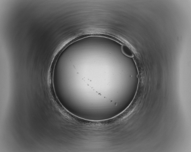 X0000116350885200912091127