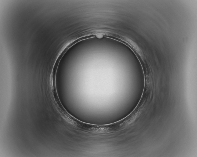 X0000116350891200912091127