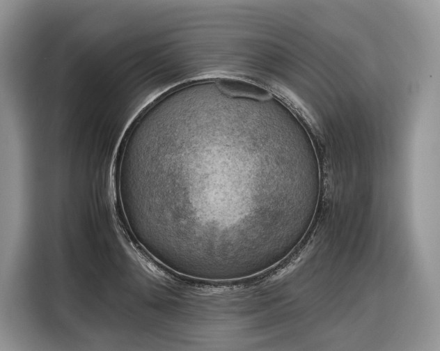 X0000116350892200912091127