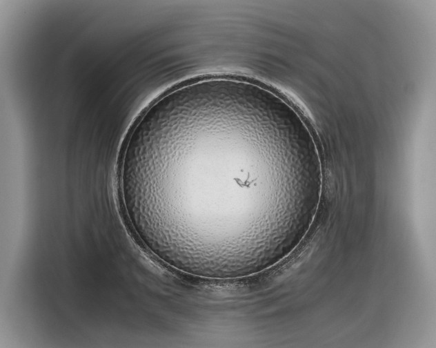 X0000116350895200912091127