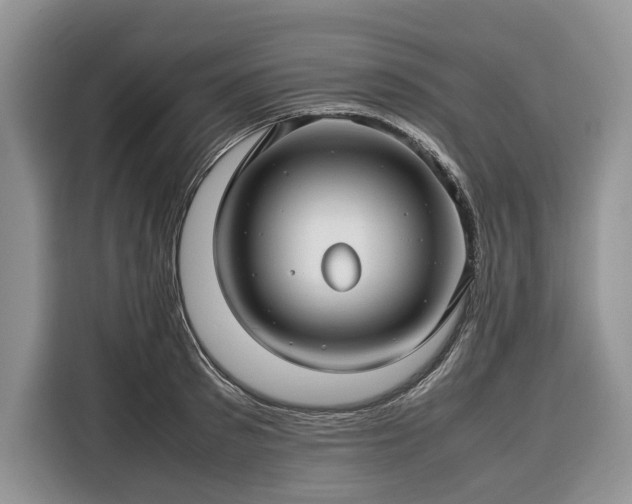 X0000116350897200912091127