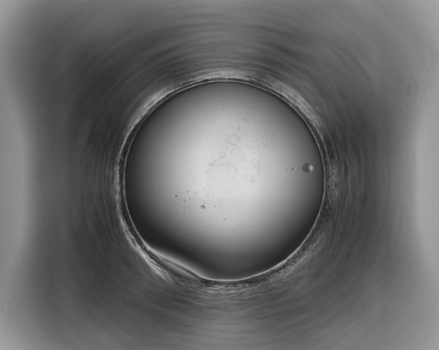 X0000116350898200912091127