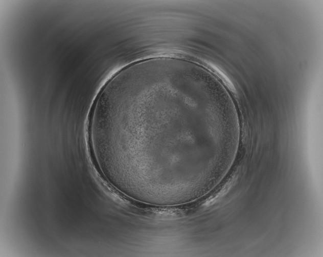 X0000116350899200912091127