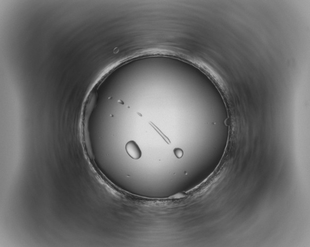 X0000116350902200912091127