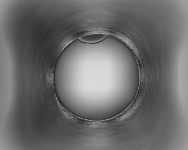 X0000116350905200912091127