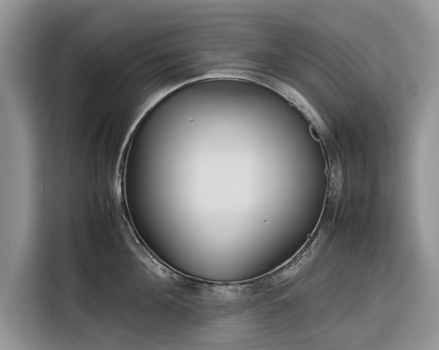 X0000116350908200912091127