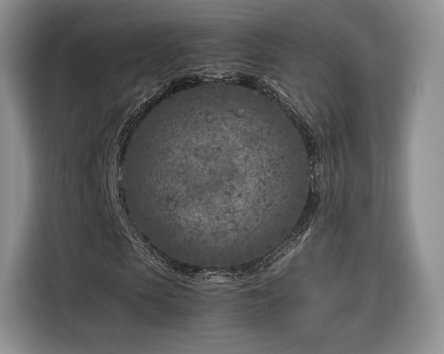 X0000116350913200912091126