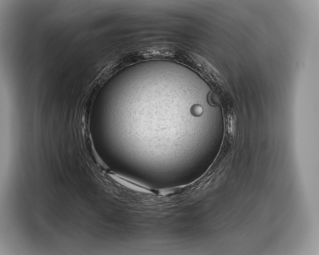 X0000116350915200912091126