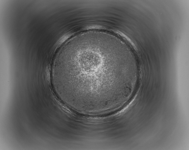 X0000116350921200912091127