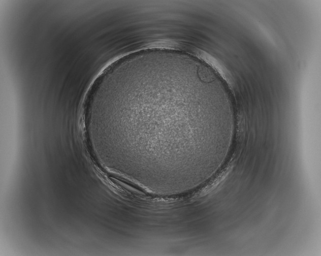 X0000116350923200912091127