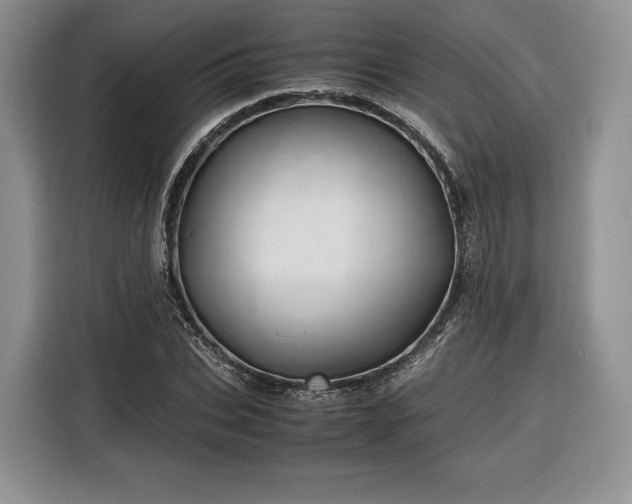 X0000116350927200912091127