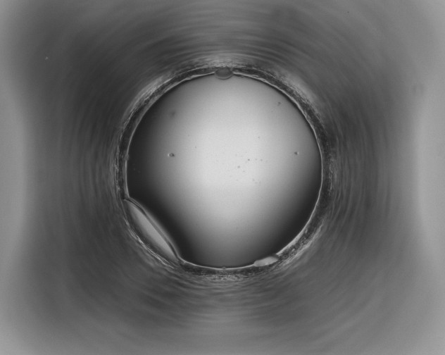 X0000116350930200912091127