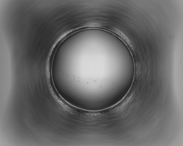 X0000116350939200912091127