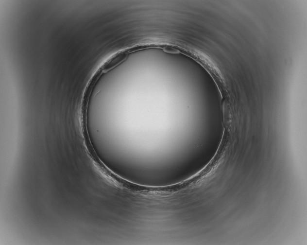 X0000116350942200912091127