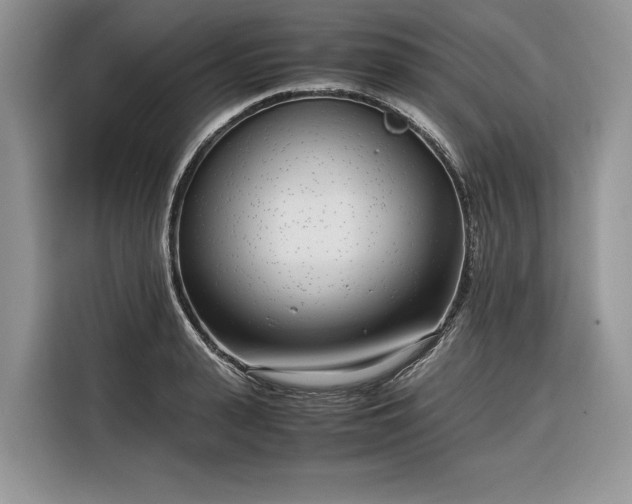 X0000116350943200912091127