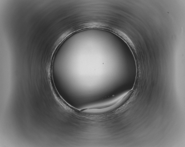 X0000116350946200912091127