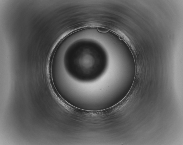 X0000116350947200912091127