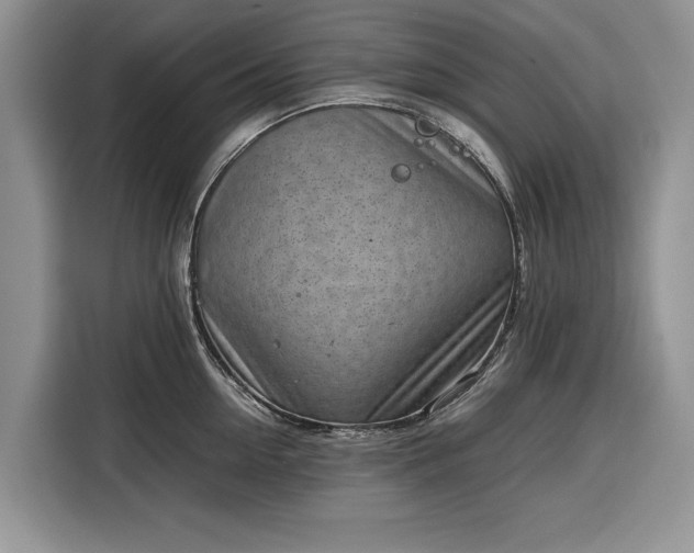 X0000116350954200912091127