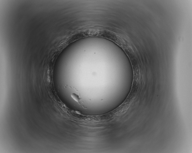 X0000116350962200912091126