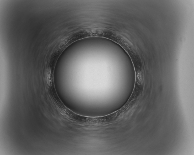 X0000116350963200912091126