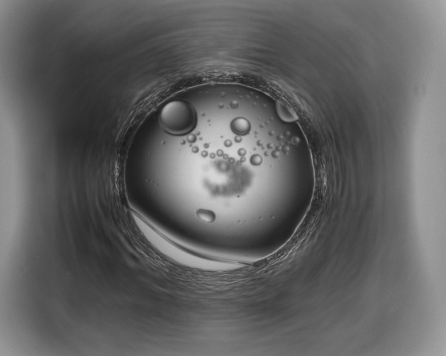 X0000116350964200912091126