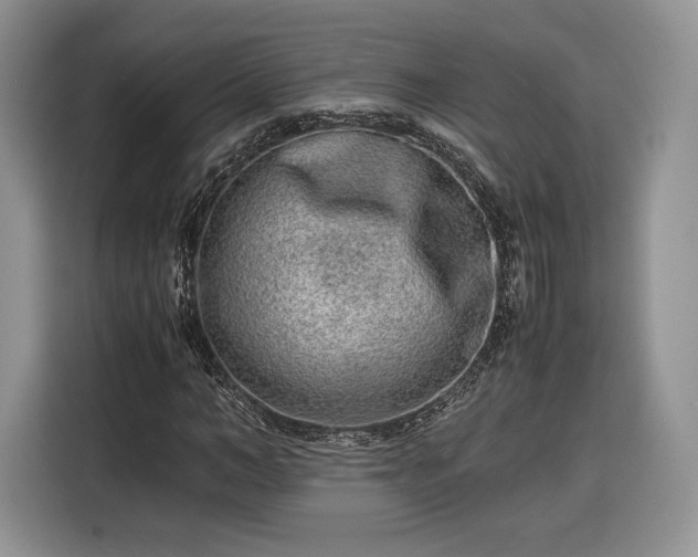 X0000116350966200912091126