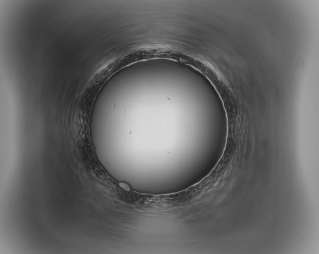 X0000116350967200912091126