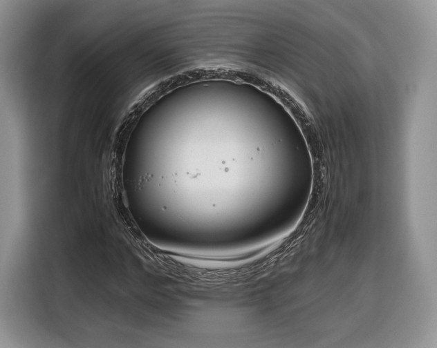 X0000116350968200912091126