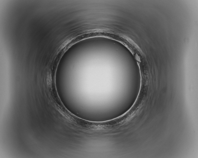 X0000116350969200912091126