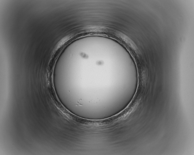 X0000116350970200912091126