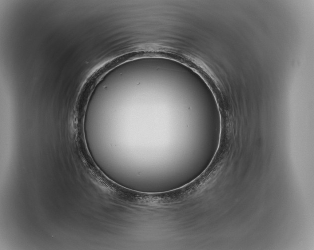 X0000116350971200912091126